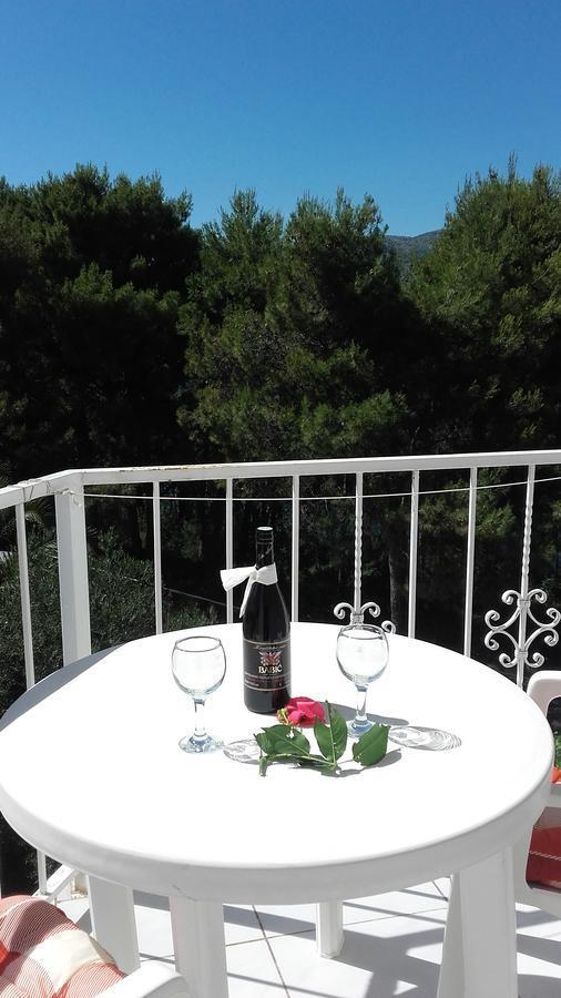 Villa Mateja Donji Okrug  Extérieur photo