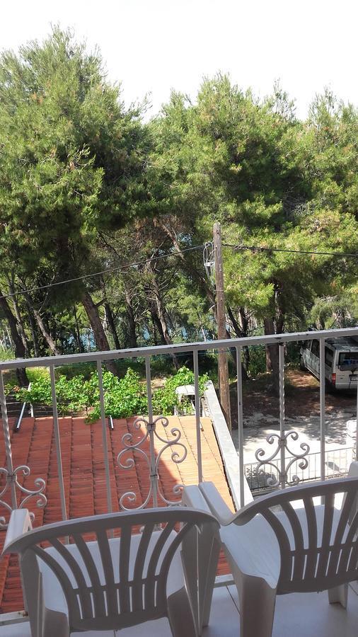 Villa Mateja Donji Okrug  Extérieur photo