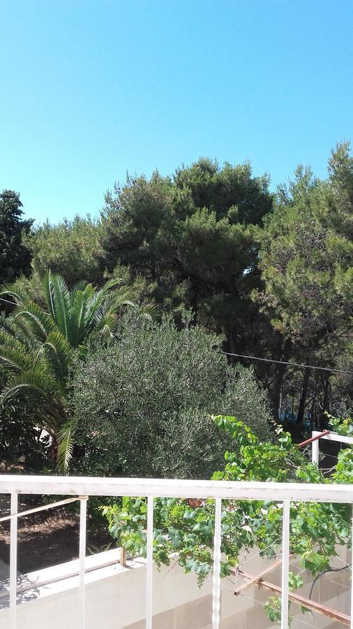 Villa Mateja Donji Okrug  Extérieur photo